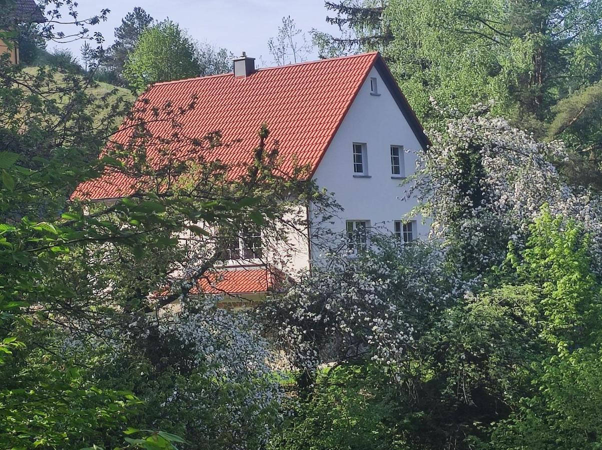 Ferienhaus Gluecksgriff بوتينشتاين المظهر الخارجي الصورة